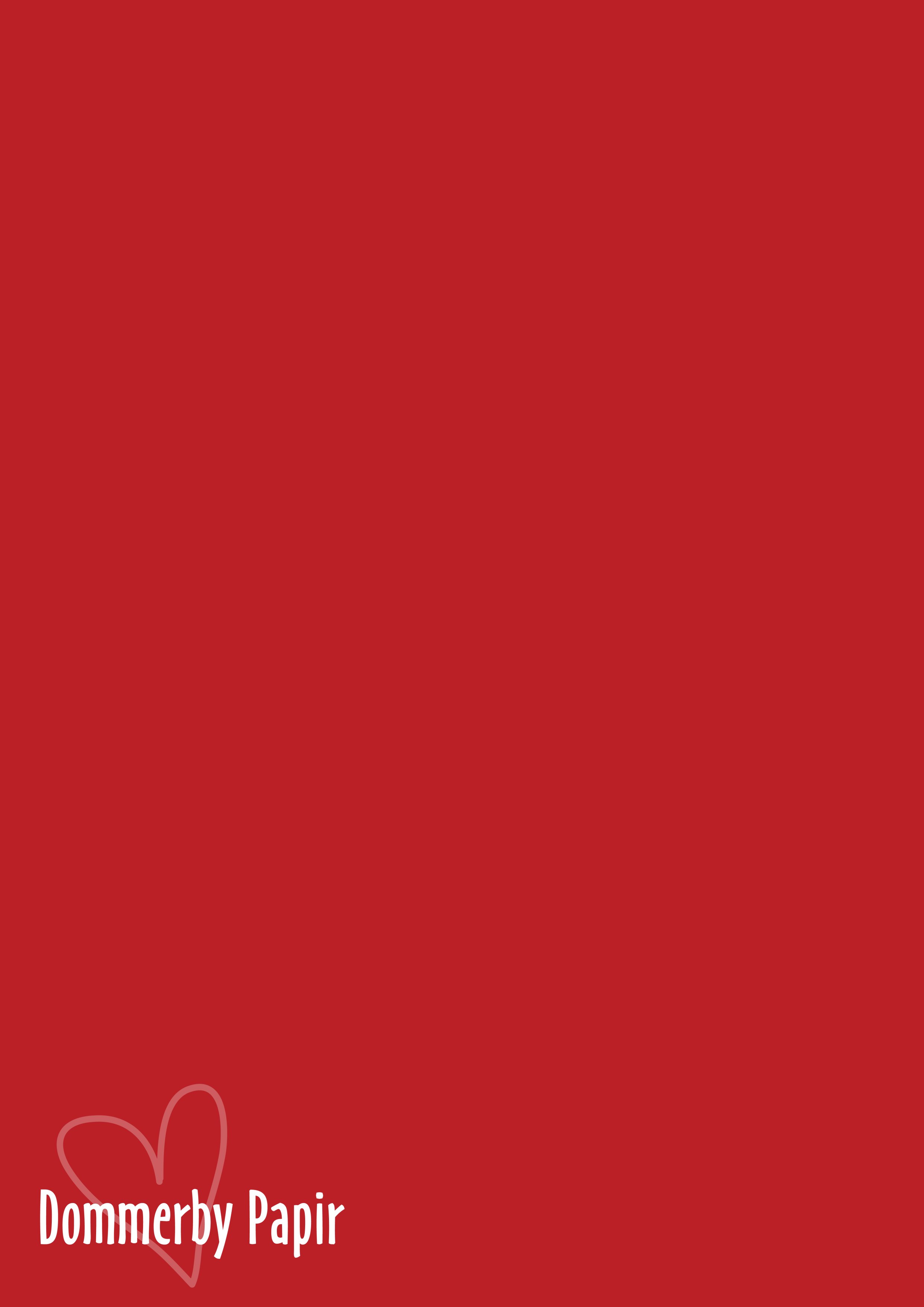  Papir Chilird A4 120 g - 5 stk - A100