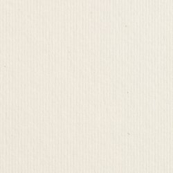 Bio cycle - On Edge S40 BIG PACK 