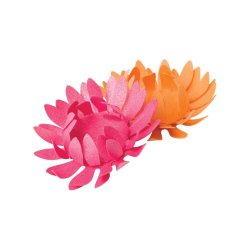 Daisy Punch, Lia Griffiths 3,92 cm