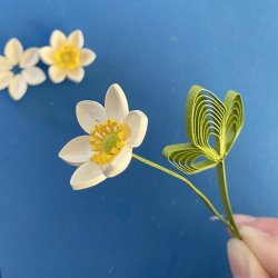 Instruktion Quilling Anemone, Hanne Olesen