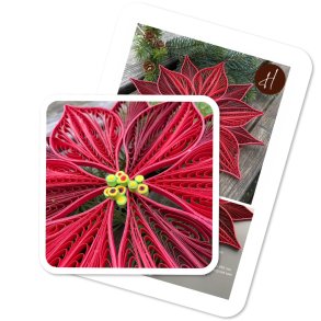 Ide-side Julestjerne-blomst (ikke instruktion) Hanne Olesen