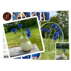 Instruktion Kornblomst, Hanne Olesen