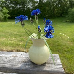 Instruktion Kornblomst, Hanne Olesen