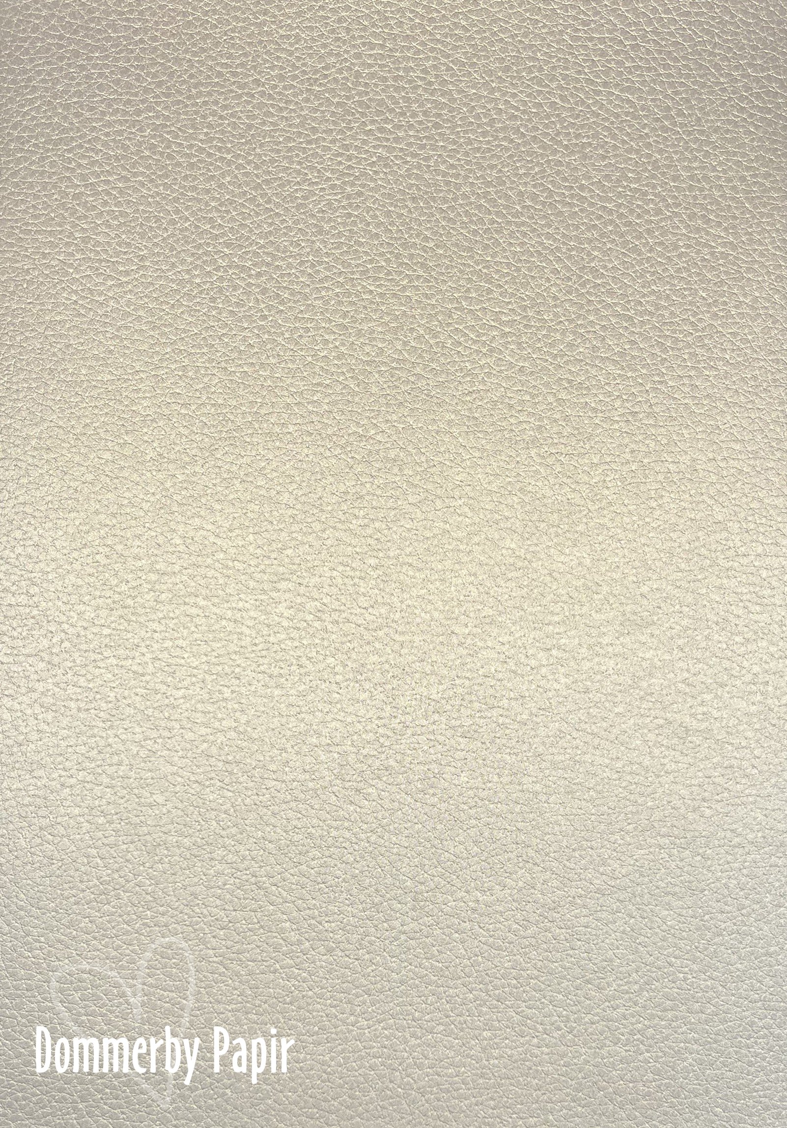 Gmund Coin - Lderprget - i flot champagneskin