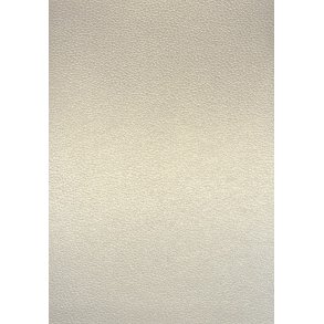 Gmund Coin - Lderprget - i flot champagneskin