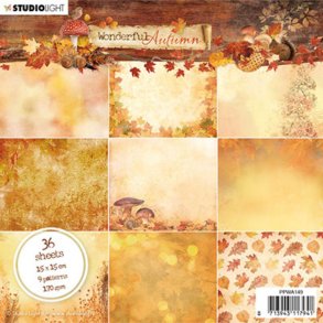 Scrap Sheets blok - Wonderful autumn